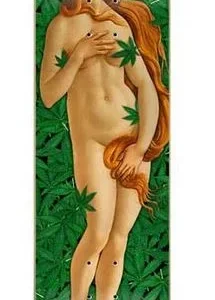 JART DECK HC RENAISSANCE III 8.25″x31.7″