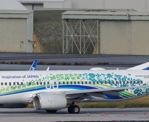 Boeing 737-800 ANA All Nippon Airways “Furusato Jet” JA58AN – SA4112